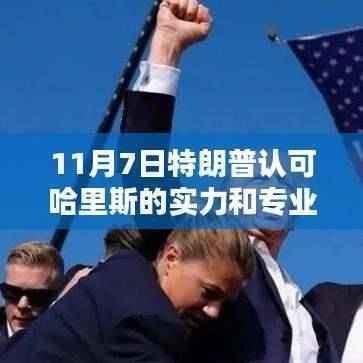 特朗普赞誉的隐藏瑰宝,哈里斯专业精神与小巷特色小店的故事