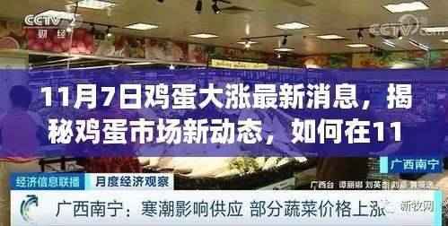 揭秘鸡蛋市场新动态,把握11月7日鸡蛋大涨行情的全方位步骤指南