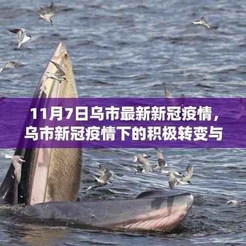 乌市新冠疫情下的积极转变与学习力量,挑战中的自信之光(11月7日最新)