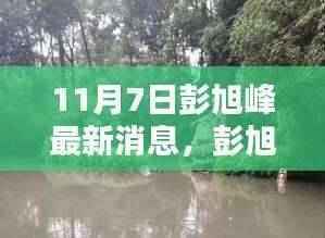 彭旭峰最新动态及要点解析(11月7日更新)