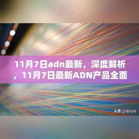11月7日ADN产品深度解析与全面评测报告