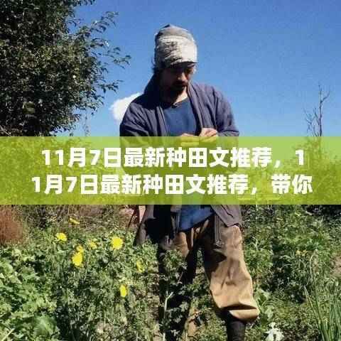 11月7日最新种田文推荐,领略乡村新风尚,感受田园生活的美好