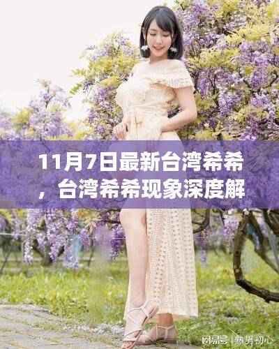 台湾希希现象深度解析,最新动态与三大要点探讨(最新台湾资讯)