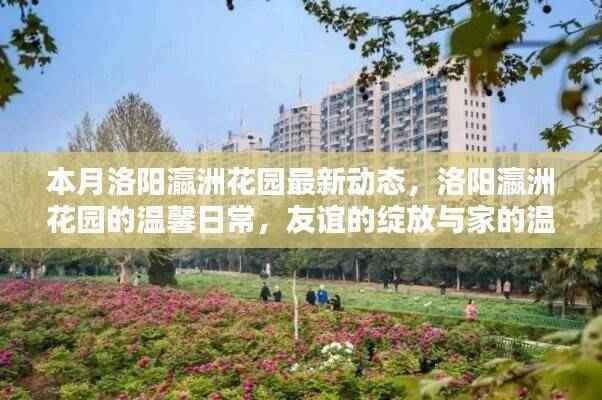 洛阳瀛洲花园本月动态,友谊与家的温馨日常