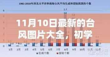 11月10日最新台风图片大全及获取指南,适合初学者与进阶用户