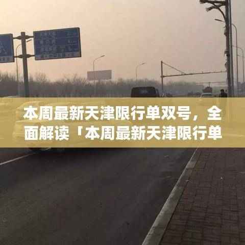 天津限行单双号全面解读,特性、体验、竞品对比及用户群体深度分析