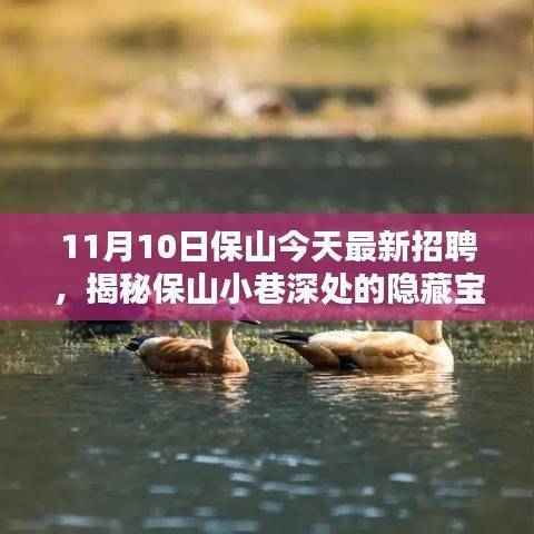 揭秘保山小巷深处的隐藏宝藏,特色小店与最新招聘奇遇日