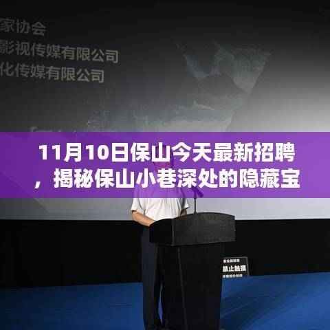 揭秘保山小巷深处的隐藏宝藏,特色小店与最新招聘奇遇日