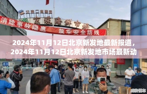 北京新发地市场最新动态报道(2024年11月12日更新)