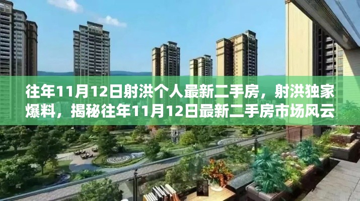 揭秘射洪独家爆料,往年11月12日最新二手房市场动态与独家房源信息