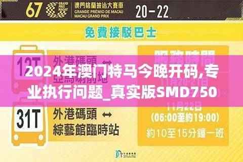 2024年澳门特马今晚开码,专业执行问题_真实版SMD750.79