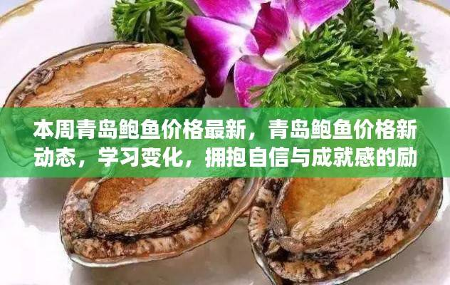 青岛鲍鱼价格新动态，励志之旅，拥抱自信与成就感的探索之旅