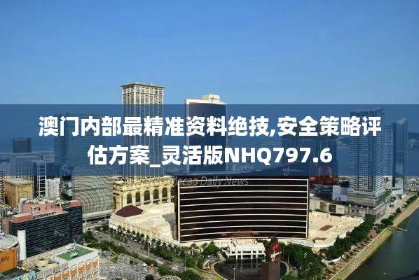 澳门内部最精准资料绝技,安全策略评估方案_灵活版NHQ797.6