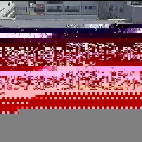 2024新澳门天天开好彩大全正版,素材动态方案解答_魔力版QYU231.33