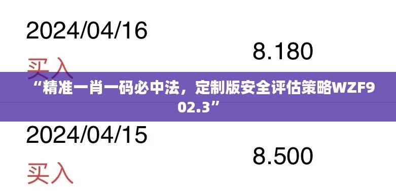 “精准一肖一码必中法,定制版安全评估策略WZF902.3”