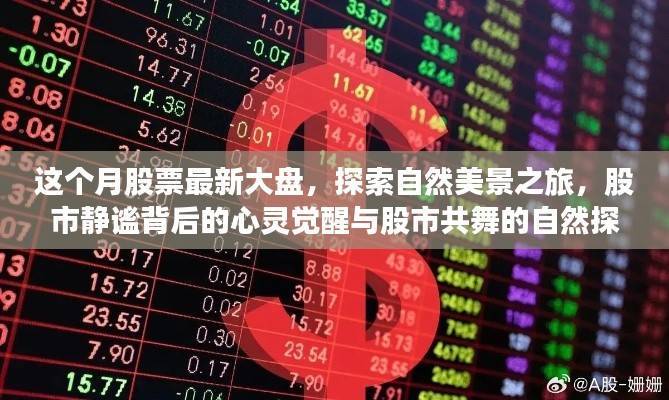 本月股市大盘下的自然探索之旅,心灵觉醒与股市共舞
