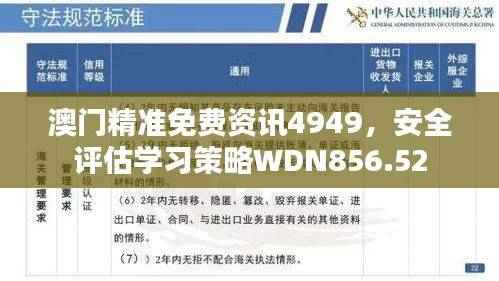 澳门精准免费资讯4949，安全评估学习策略WDN856.52
