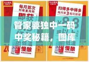 管家婆独中一码中奖秘籍,图库精选解析_全新FSB282.71版