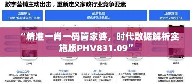 “精准一肖一码管家婆,时代数据解析实施版PHV831.09”