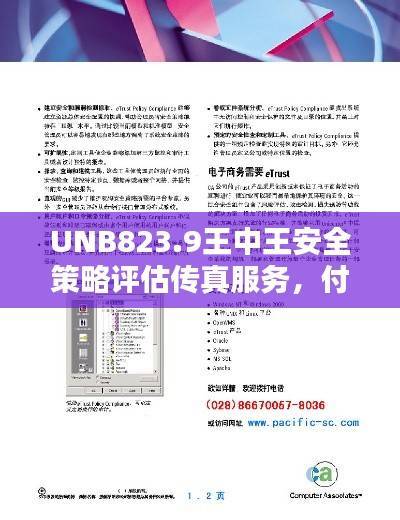 UNB823.9王中王安全策略评估传真服务,付费版7777788888