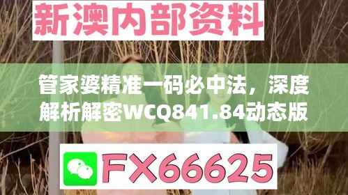 管家婆精准一码必中法,深度解析解密WCQ841.84动态版