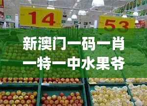 niaogehuifei 第4页