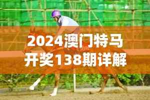 2024澳门特马开奖138期详解,精选解析版VTS954.3