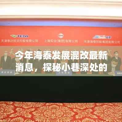 海泰发展混改新动向,探秘小巷美食与混改共进的新篇章