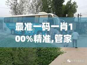 最准一码一肖100%精准,管家婆,动态词语解析_桌面版QFL354.75