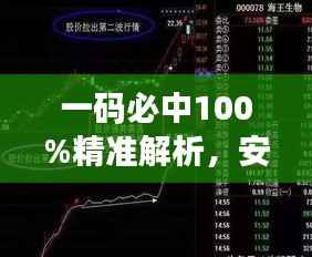 一码必中100%精准解析,安全版ODH833.29秘籍珍藏