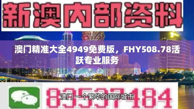 澳门精准大全4949免费版,FHY508.78活跃专业服务