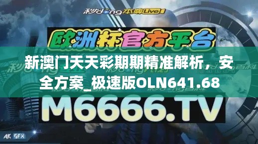 新澳门天天彩期期精准解析,安全方案_极速版OLN641.68