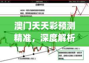 澳门天天彩预测精准，深度解析解读_经典版VDN70.72