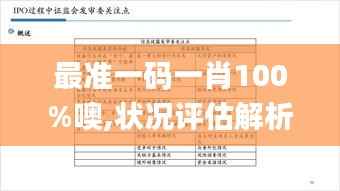 最准一码一肖100%噢,状况评估解析_快捷版VZH57.01