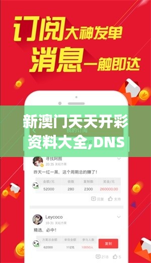 新澳门天天开彩资料大全,DNS服务_传统版NPS93.59