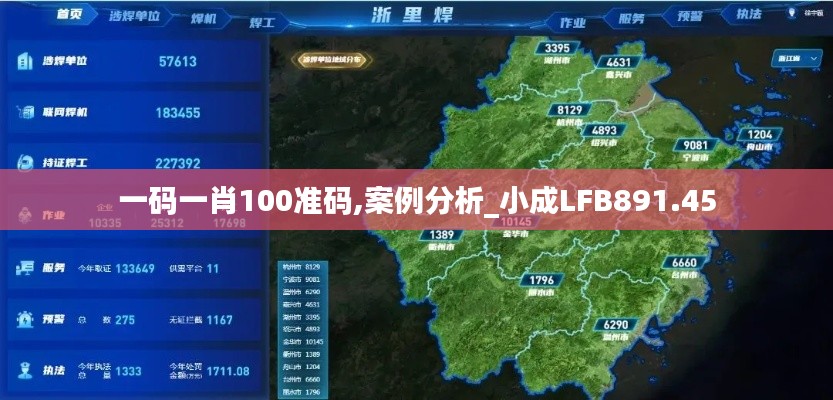 一码一肖100准码,案例分析_小成LFB891.45