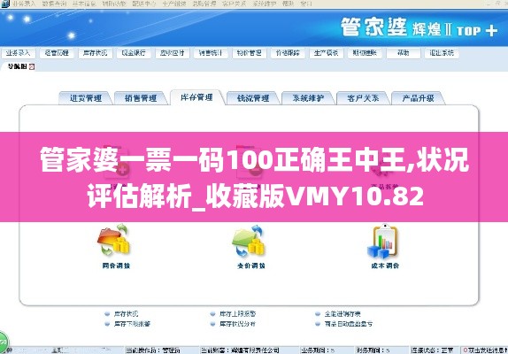 管家婆一票一码100正确王中王,状况评估解析_收藏版VMY10.82