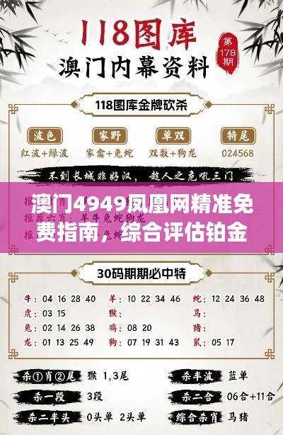 澳门4949凤凰网精准免费指南,综合评估铂金版标准FVJ173.28
