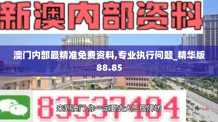 澳门内部最精准免费资料,专业执行问题_精华版88.85