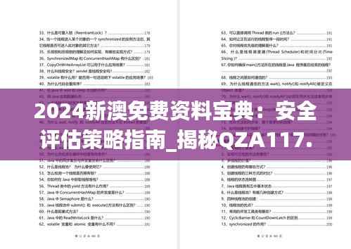 2024新澳免费资料宝典:安全评估策略指南_揭秘QZA117.82方案