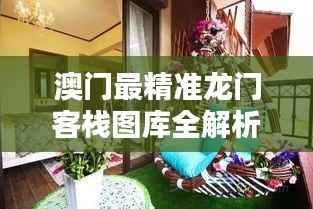 澳门最精准龙门客栈图库全解析:时尚版NIZ226.32新方案揭秘