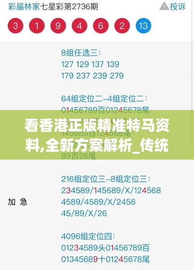 看香港正版精准特马资料,全新方案解析_传统版OUI404.67