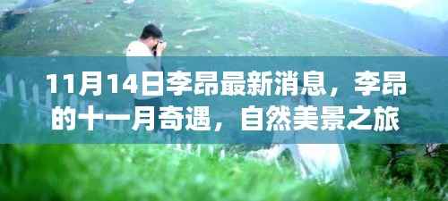 李昂的十一月心灵之旅,自然美景探寻与奇遇时刻
