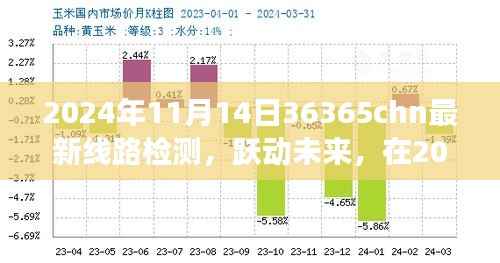 跃动未来,2024年11月14日36365chn最新线路检测与变化共舞,开启无限可能