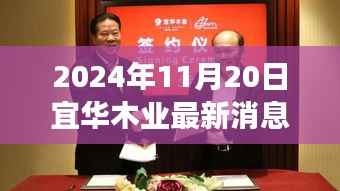 宜华木业最新动态与行业展望,聚焦焦点,洞悉未来