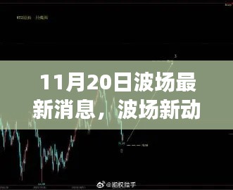 波场新动态,11月20日的温馨日常与友情魔法的绽放