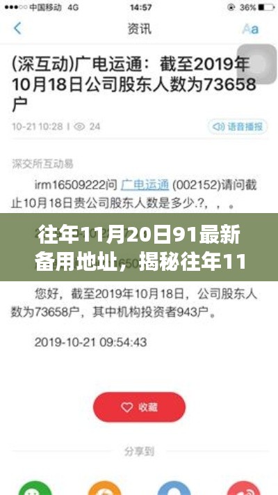 揭秘往年11月20日91最新备用地址背后的故事及技术细节探索