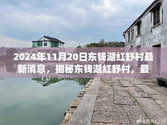 揭秘东钱湖红舒村,最新动态与深度探访(2024年11月20日更新)