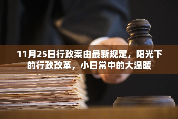 11月25日行政案由最新规定,阳光下的行政改革,小日常中的大温暖
