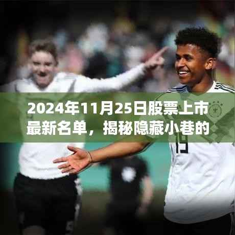 揭秘隐藏小巷的神秘小店,最新股票上市名单新星闪耀登场(2024年11月25日)
